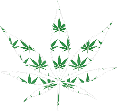 Funny 420 Stoner THC Marijuana Cannabis Weed Pot Leaf Smoker Women's Sweatshirt