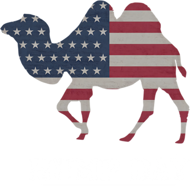 Funny American Flag Hump Day Camel Gift Kids T-Shirt