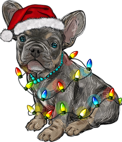 French Bulldog Frenchie Christmas Lights Cute Gift Coaster