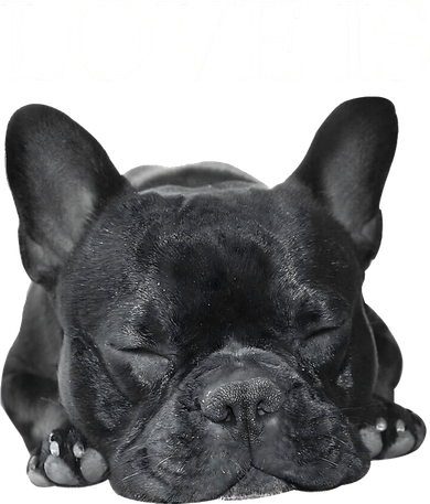 French Bulldog Love Is Cute Frenchie Dog Mom Gifts Coffee Mug