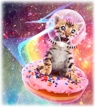 Funny Cute Astronaut Kitty On Rainbow Sprinkle Donut Women's Sweatshirt