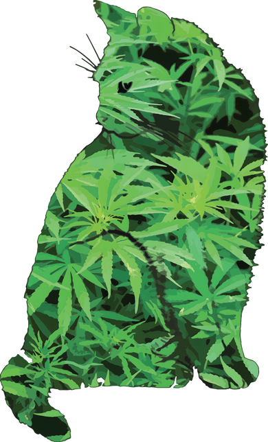 Funny Cannabis & Cat Lover Marijuana Weed Smoker Art Women's Hoodie