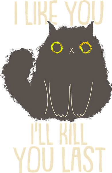 Funny Cat I Like You I'll Kill You Last Hat