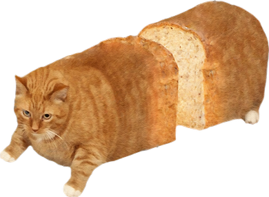 Funny Cat Loaf Cat Bread Cat Lovers Kitty Kitten Women Women's Tank Top
