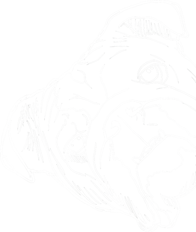 Funny Dog English Bulldog Women's Tank Top
