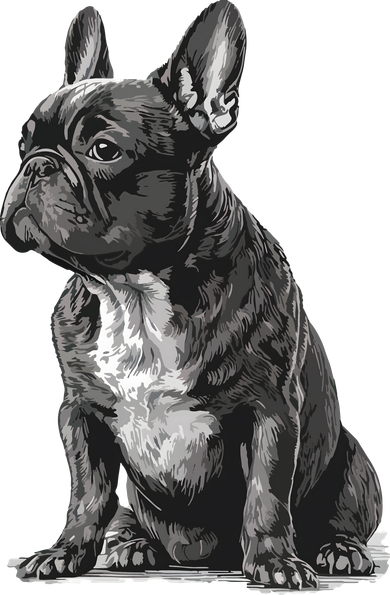 Funny French Bulldog Frenchie Black And White Ceramic Ornament
