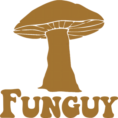 Funguy Funny Mushroom Fun Guy Women's Hoodie