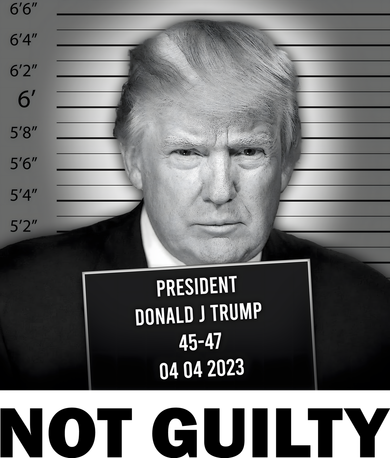 Funny Not Guilty Trump Mug Shot Kids T-Shirt
