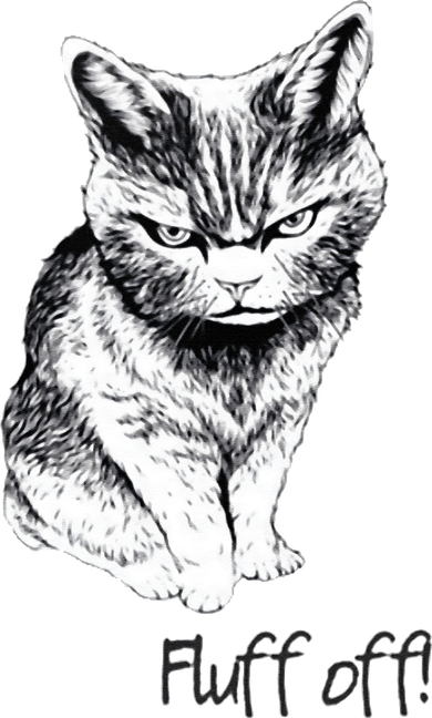 Fluff Off Cat Funny Cat Kitten Kids T-Shirt