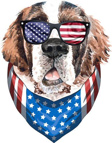 Fourth of July Bernard American Flag July 4th St Bernard Dog Women's Tank Top