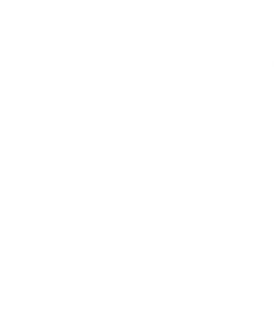 Funny Soccer Cat Women's Long Sleeve Shirt