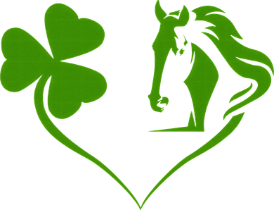 Funny St.Patricks Day design shenanigans shamrock horse 11oz C Handle Ceramic Mug