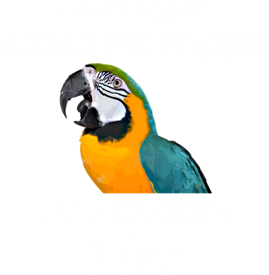 Funny Scream Nothing Blue And Gold Macaw Parrot Bird Funny Gift Kids Hoodie