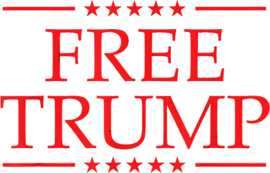 Free Trump 2024 Prison Hooded Wearable Blanket
