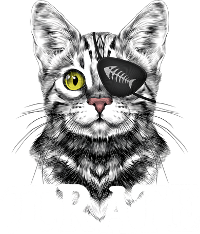 Funny Vintage Pi Day 314 PiRate Pirate Cat Women's Sweatshirt