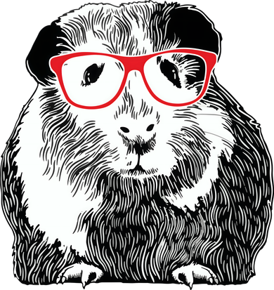 Guinea Pig Funny Guinea Pig Tee Cute Guinea Pig Women's Tank Top