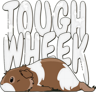 Guinea Pig Tough Wheek Brown Cream Guinea Pig Pet Kids Hoodie