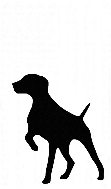 German Shorthaired Pointer American Flag USA Patriot Doggie Tank