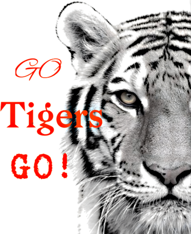 Go Tigers Go Sports Football Baseball Basketball Tigers Great Gift Coffee Mug