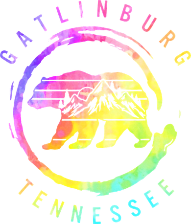 Gatlinburg Tennessee Great Smoky Mountains Bear Souvenir Toddler Hoodie