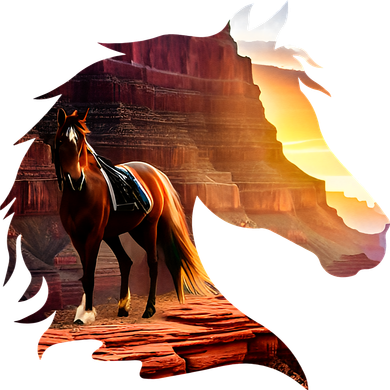 Horse Art Horse Lover Horse Riding Lover Women's T-Shirt