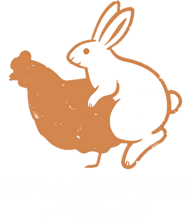 How Easter Eggs Are Made Funny Sarcastic Women's T-Shirt