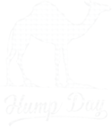 Happy Hump Day Tees Guess Camel Hump Day Kids T-Shirt