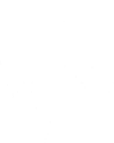 Horse Riding Horse Riding Horse Motif Women's T-Shirt