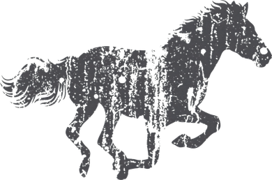 Horse Vintage Design Horse Print T-Shirt