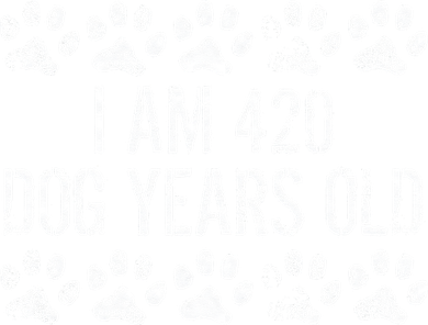 I Am 420 Dog Years Old Funny 60th Birthday Women's Long Sleeve Shirt