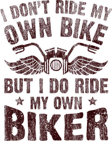 I Dont Ride My Own Bike But I Do Ride My Own Biker Retro Ornament
