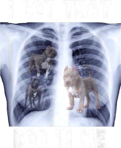 I Got That Dog In Me Xray Meme Toddler Sweatshirt