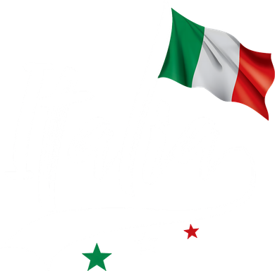 Italia Italian Flag Italy Italiano Heritage Doddie Hoodie