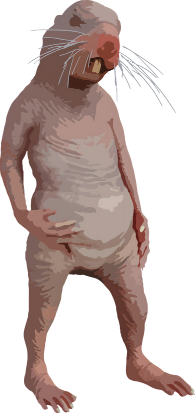 I Just Really Like Naked Moles Ok Funny Naked Mole Rat Women's Tank Top