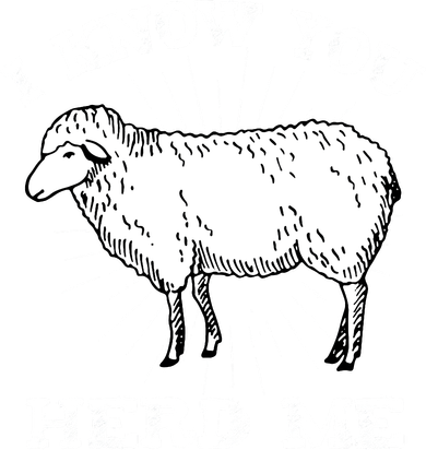 I Know You Herd Me Sheep Herder Farm Animal Shepherd Tumbler
