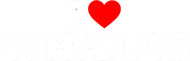 I Love Whales Toddler T-Shirt