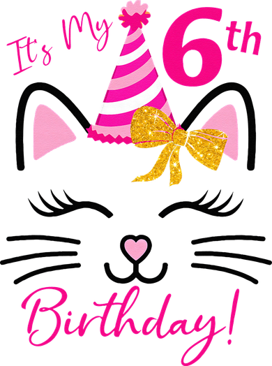 Its My 6th Birthday Funny Cat Birthday 6 Year Old Bucket Hat