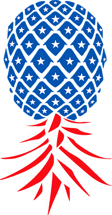 July Patriotic Red White Blue Upside Down Pineapple Swinger Mousepad