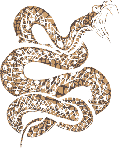 King Cobra Hissing Distressed Snake Lover Gift Button