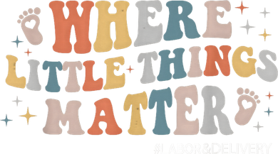 Labor and Delivery Nurse L&D Where Little Things Matter Doddie Hoodie