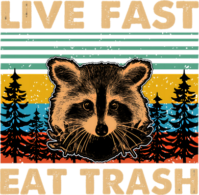 Live Fast Eat Trash Funny Raccoon Camping Vintage Retro Gift Baby Bodysuit