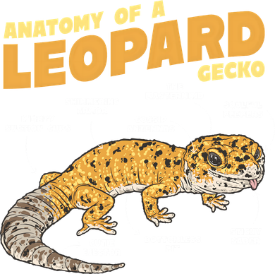 Leopard Gecko Anatomy Golf Towel