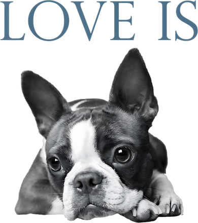 Love Is Boston Terrier Bostie Hat