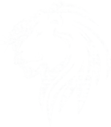 Lion Of Judah Jesus Christian Faith Men Women Gifts Toddler T-Shirt