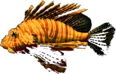 Lionfish Save The Tropical Ocean Reef Coral Lion Fish Gift Women's T-Shirt