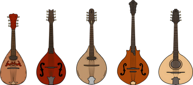 Mandolins In A Row Music Instrument Set Hooded Wearable Blanket