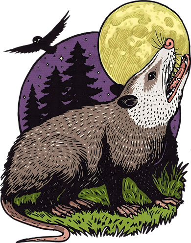 Moon Possum Funny Marsupial Rodent Opossums Retro Art Groovy Toddler Long Sleeve