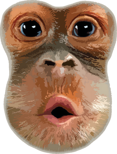 Monkey Stomach Funny Meme Cool Trending Viral Video Kids Sweatshirt