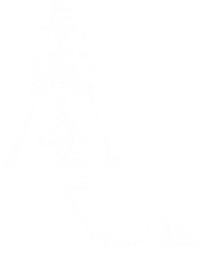Mermaid Skeleton Halloween Funny Spooky Scary Swimming Doggie Tank