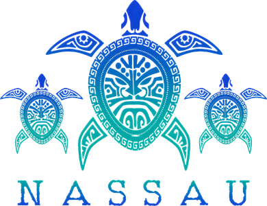 Nassau Bahamas Sea Turtle Scuba Diving Gift Toddler Long Sleeve